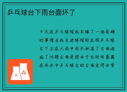 乒乓球台下雨台面坏了
